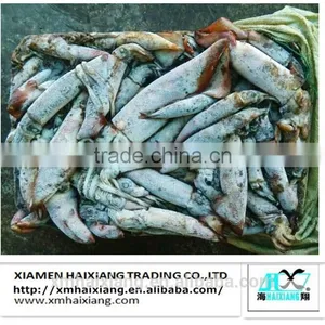 Frozen Chinese Argentina Squid for Sale thumbnail-5
