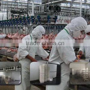 00861805209268 Halal Chickens Slaughtering Equipment for Abattoir House thumbnail-4