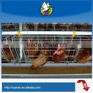 Professional High Quality Layer Chicken Battery Cages thumbnail-1