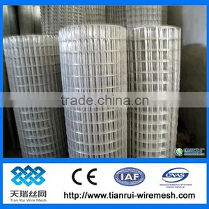 Galvanized Welded Wire Mesh for India Market thumbnail-1