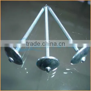 Top Quality Umbrella Head Thread Roofing Nail Trusted Chuanghe Suppliers From Com thumbnail-5