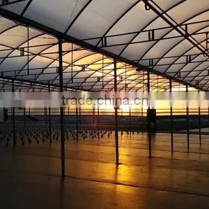 ISO9001 Quality Insurance Polycarbonate PC Sheet Greenhouse for Agriculture and Commercial Use thumbnail-2
