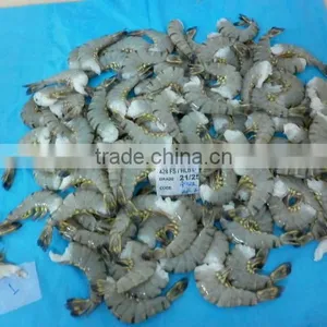 Frozen HLSO Black Tiger Shrimps thumbnail-2