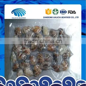 Frozen Cooked Short Neck Clam Size 31-40 thumbnail-1
