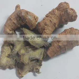 Factory Supply Dietary Supplyment 100% Natural Panax Notoginseng P.E. / Wild Radix Notoginseng Extract thumbnail-3