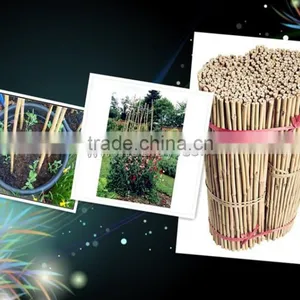 Raw Bamboo Gardening Sticks Poles Canes 6~10mm ,60cm~150cm thumbnail-1