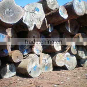 KEURING ROUND LOGS FROM LAOS thumbnail-1
