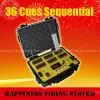 36 Channels Sequential and Salvo Fire 300 M Wireless Remote Control Fireworks Firing System thumbnail-1