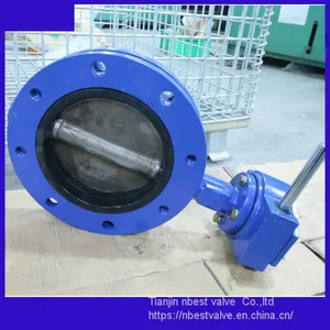 U Type Double Flange Connection Butterfly Valve 1.4529disc thumbnail-1