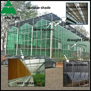 10mm PC Sheet Multispan Greenhouse With Climate Control System thumbnail-5