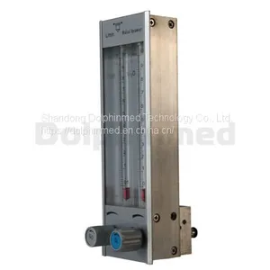 DP309 Flowmeter China thumbnail-1