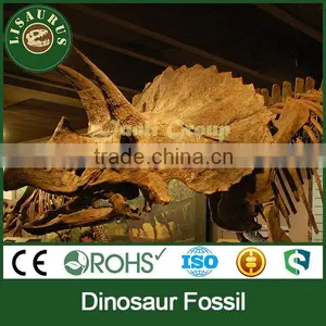 Lisaurus I High Quality Dinosaur Skull Puzzle Dinosaur Steel Skeleton for Sale for Theme Park Dino Park Dinosaur Skeleton Model thumbnail-2