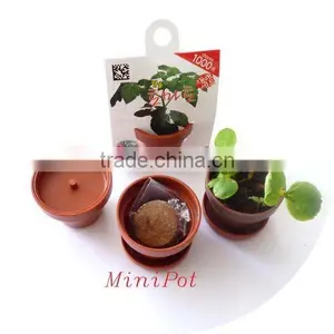 Mini-pot thumbnail-1