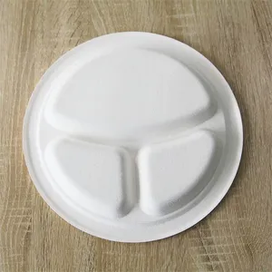 Eco Friendly Disposable Tray thumbnail-2