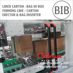 Case Erector and Bag Inserter For Forming Lined Cartons thumbnail-2