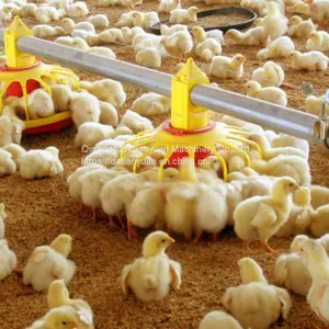 Automatic Poultry Feeder Chicken Animal Feeders System for Poultry Farm Equipment thumbnail-4