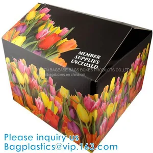 Fruit Carton, Fruit Case, Fruit Tray, New Custom Made Luxurious Mobile Phone Storage Packaging Printed Paper Box Wholesale thumbnail-3