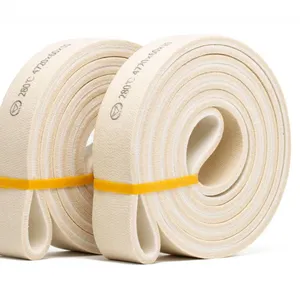 280°C Meta-aramid Endless Belt thumbnail-1