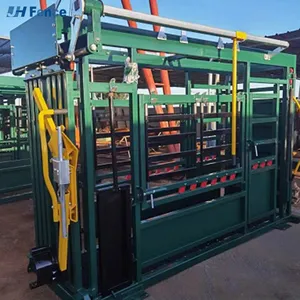 Heavy Duty Galvanized Steel Cattle Crush in Good Price thumbnail-1