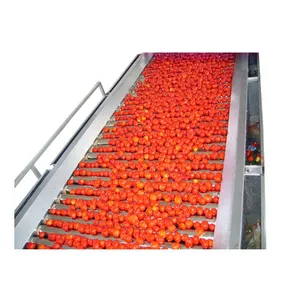 Shanghai Factory Small Scale Industrial Tomato Sauce Ketchup Processing Making Machine Tomato Paste Production Line thumbnail-1