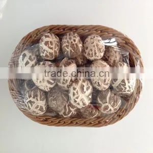 Dried Lentinus Edodes Shiitake thumbnail-1