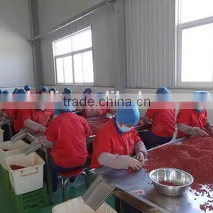 Dried Goji Berry Chinese Wolfberry thumbnail-2
