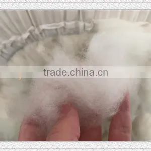 100% Wool White Dehaired Cashmere thumbnail-3