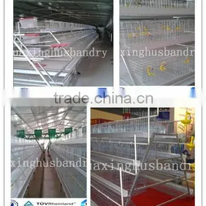 Used Battery Poulry Broiler Cage System for Sale thumbnail-2