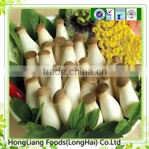 Top Quality Fresh Pleurotus Eryngii /king Oyster Mushroom thumbnail-1