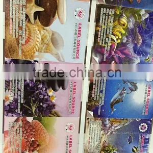 High Quality Roll to Roll Sticker Label Printer Four Colour Adhesive Label Printing Machine thumbnail-1