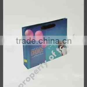 Colorful Paper Bags thumbnail-2