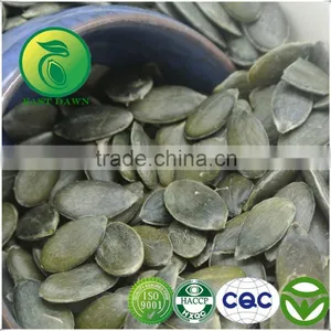 Grade AA Pumpkin Seeds GWS (Grown Without Shell) thumbnail-1
