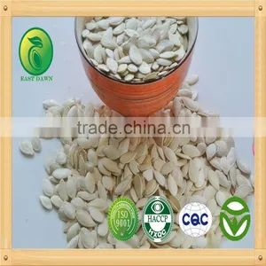 Shine Skin Pumpkin Seeds Chinese Watermelon Seed Inner Mongolia thumbnail-2