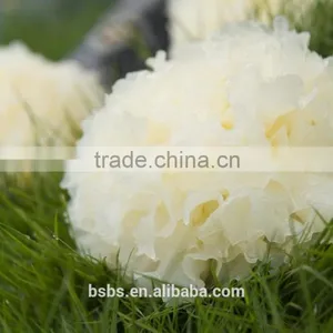 Top Quality Tremella Chinese White Fungus thumbnail-1