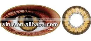 Wholesale Circle Lens Eclipse SM 15mm Korea Color Contact Lenses thumbnail-2