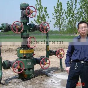 API 6A Wellhead & X-mas Tree thumbnail-1