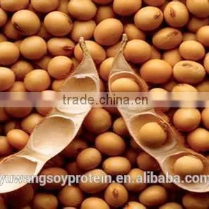 Isolated Soy Protein(YP901E) thumbnail-4