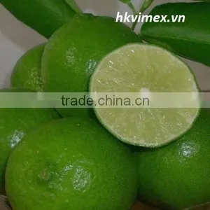 Product Quality of Hkvimex Viet Nam Lemon thumbnail-1