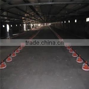 Meat Chicken Poultry Feeding Line thumbnail-4