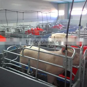 Pig Farrowing Crate for Sale thumbnail-1