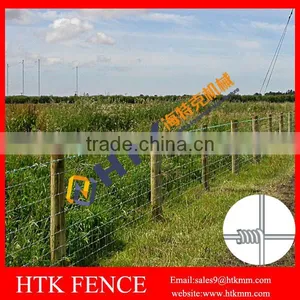 Long Service Life Galvanized Grassland Protection Fence/Farm Fencing thumbnail-1