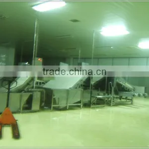 Shrimp Grading Machine thumbnail-1