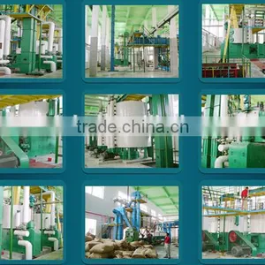 Prefessional Automatic Cold Press Safflower Oil Extracton Machine thumbnail-5