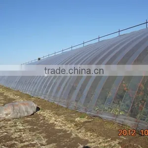 Transparent PE Film Greenhouse Film for Orange Growing thumbnail-1