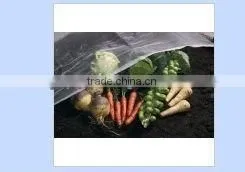Plastic Black Agricultural Film in Roll for Garden thumbnail-1