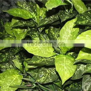 Stickers Home Garden Deco 200*200 cm Indoor or Outdoor Artificial Corner Succulent Green Climbing Plant Wall Ezwq10 104 thumbnail-1