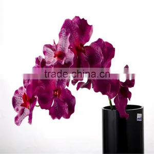 SJ20170049 China Wholesale High Quality Colorful Fake Plastic Flowers for Indoor Decoration Artificial Orchid thumbnail-1