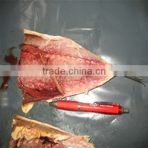 High Quality and Frozen Mackerel Fillet Fish thumbnail-1