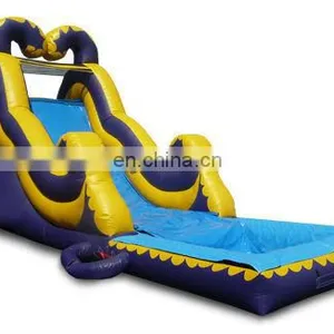 Inflatable Backload Water Slide With Pool thumbnail-1