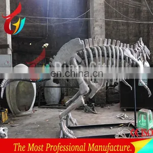 Indoor Display Fiberglass Life Size Dinosaur Skeleton thumbnail-5